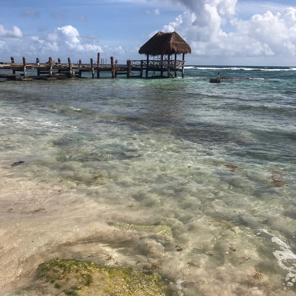 Meet your Posher, Guillermo - Picture 1 of 1